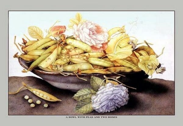 A Bowl with Pears and Two Roses by Giovanna Garzoni - Art Print