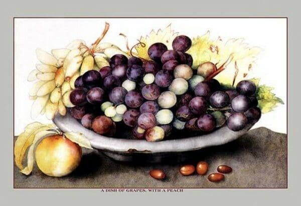 A Dish of Grapes and Peaches by Giovanna Garzoni - Art Print