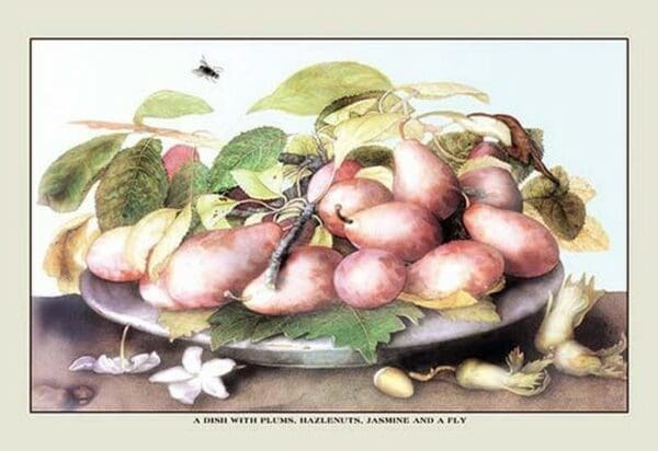 A Dish of Plums