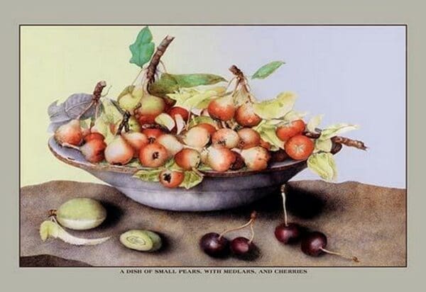 A Dish of Small Pears With Medlars and Cherries by Giovanna Garzoni - Art Print