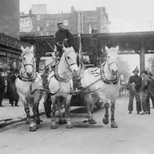 A Troika of White Horses Pulls Hook and Ladder #7 to the site of a fire - Art Print