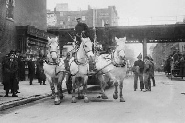 A Troika of White Horses Pulls Hook and Ladder #7 to the site of a fire - Art Print