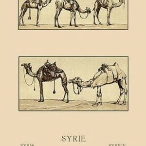 A Variety of Howdahs from Syria by Auguste Racinet - Art Print