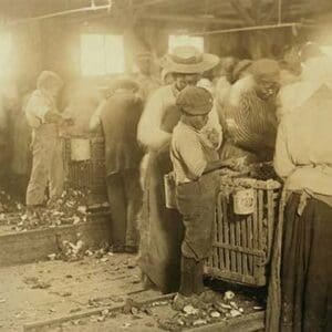 African American Children in Oyster Shucking Factory - Art Print