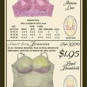 Alencon Lace and Regal Broadcloth Brassieres - Art Print