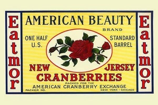 American Beauty New Jersey Cranberries - Art Print