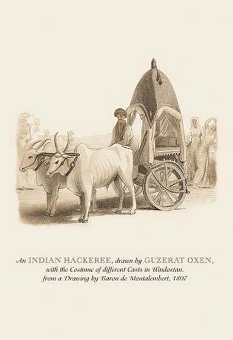 An Indian Hackeree by Baron de Montalemert - Art Print