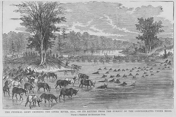 Animals ford Coosa river along with Federals that have been chasing General Hood by Frank Leslie - Art Print