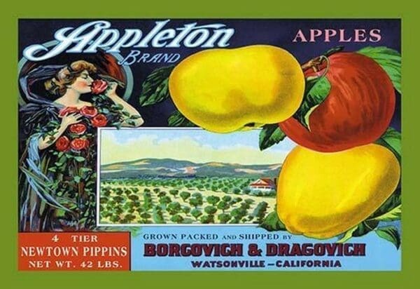 Appleton Brand Apples - Art Print