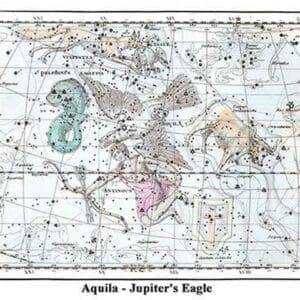 Aquila - Jupiter's Eagle by Alexander Jamieson - Art Print