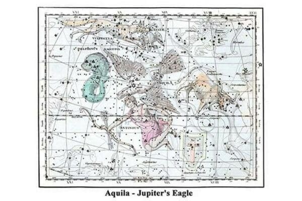 Aquila - Jupiter's Eagle by Alexander Jamieson - Art Print