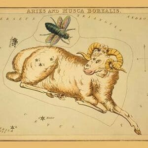 Aries and Musca Borealis by Aspin Jehosaphat - Art Print