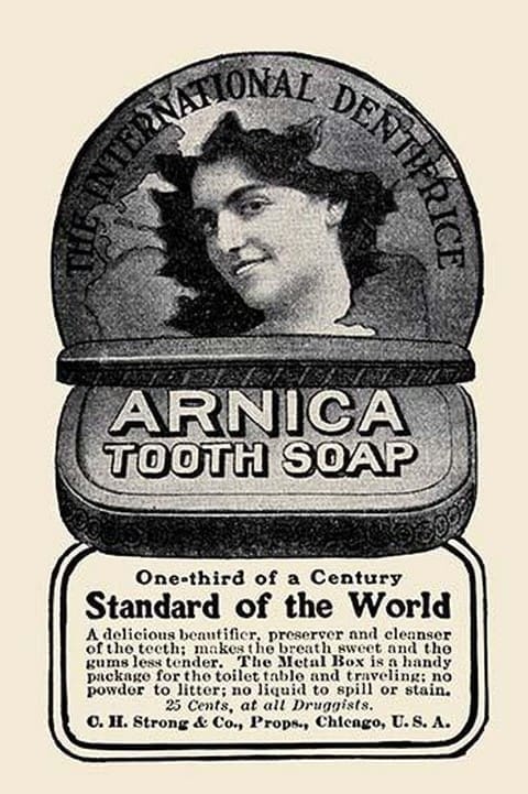 Arnica Tooth Soap - Art Print