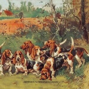 Artesien Normand Bassets by Baron Karl Reille - Art Print