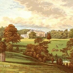 Ashcombe Park - Art Print