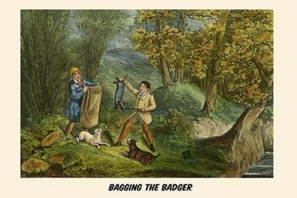 Bagging the Badger by Henry Alken - Art Print