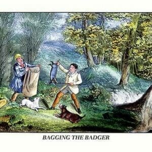 Bagging the Badger by Henry Thomas Alken - Art Print