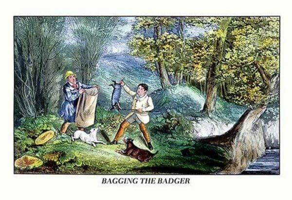 Bagging the Badger by Henry Thomas Alken - Art Print