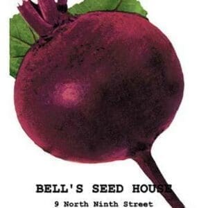 Beet: Detroit Dark Red - Art Print