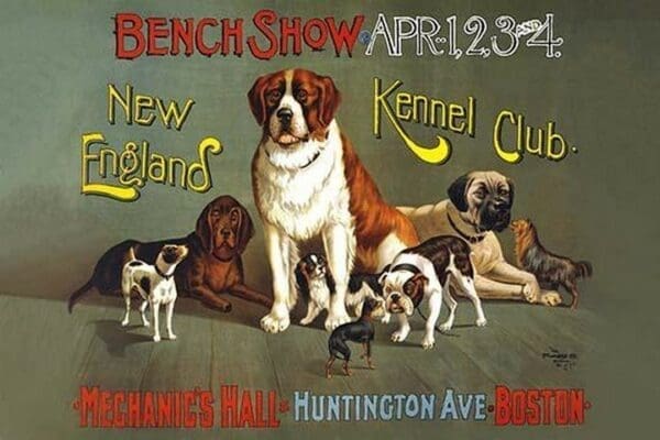 Bench show. New England Kennel Club by The Forbes Co. - Art Print