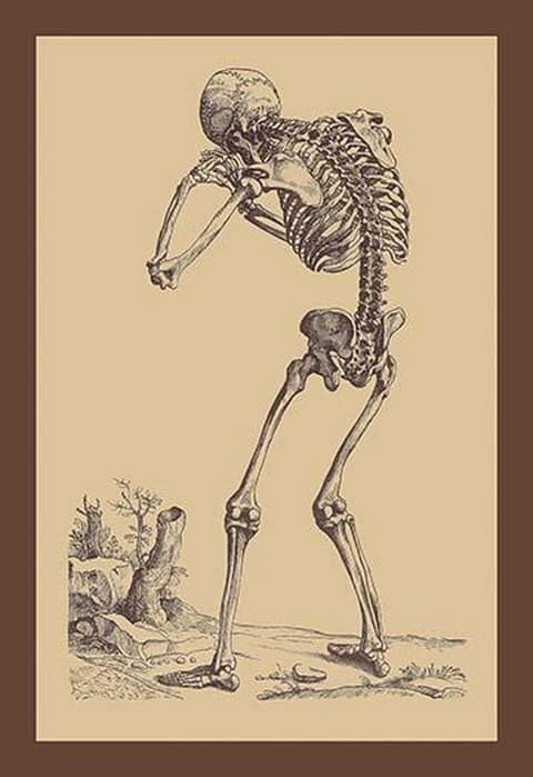 Bending Skeleton by Andreas Vesalius - Art Print