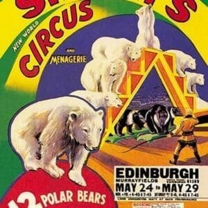 Billy Smart's New World Circus and Menagerie: 12 Polar Bears