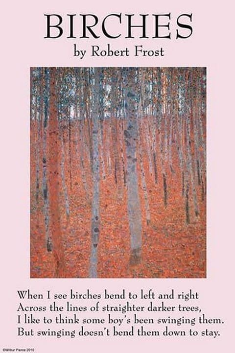 Birches by Robert Frost - Art Print