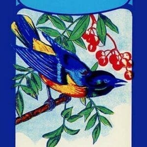 Bird Broom Label - Art Print