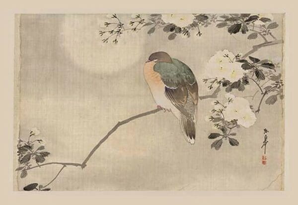 Bird and Cherry Blossoms - Art Print