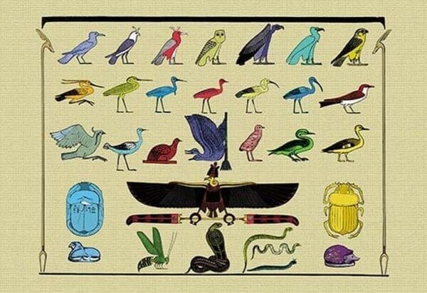 Birds and Other Creatures from Egyptian Monuments by John Gardner Wilkinson - Art Print