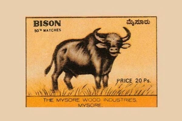 Bison - Art Print