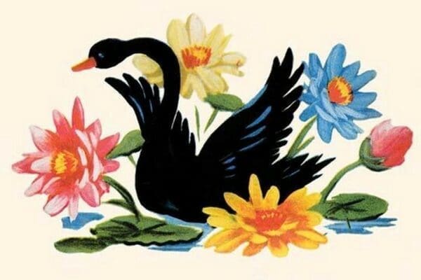 Black Swan - Art Print