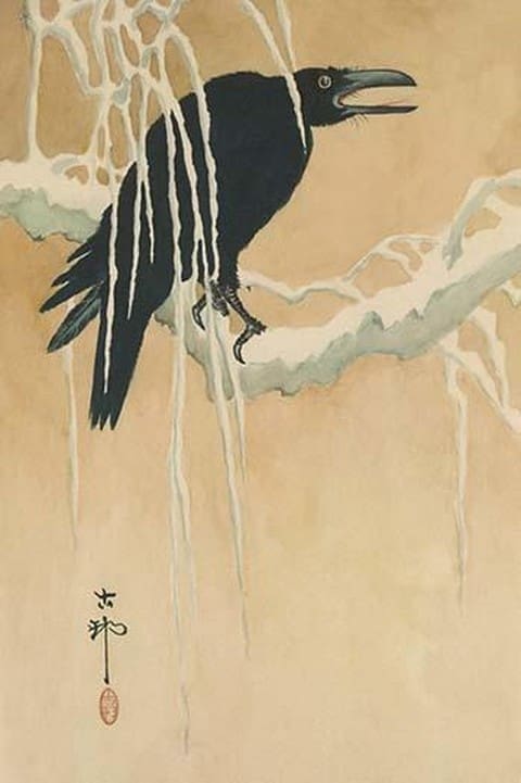 Blackbird in snow by Koson Ikeda - Art Print