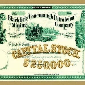 Blacklick & Conemaugh Petroleum Mining Company - Art Print