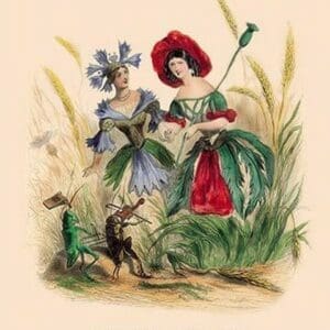 Bleuet et Coquelicot by J.J. Grandville - Art Print