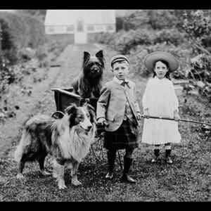 Boy and Girls with Two Dogs and a Wagon by Bains News Service - Art Print