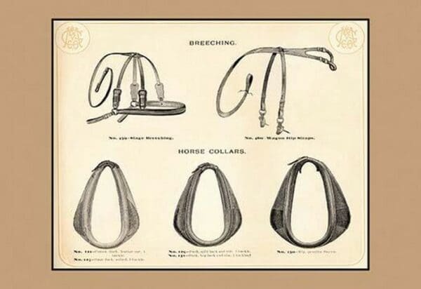 Breeching and Horse Collars - Art Print