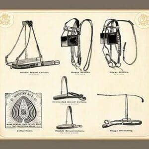 Bridles