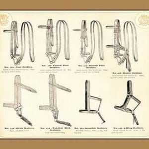 Bridles and Halters - Art Print