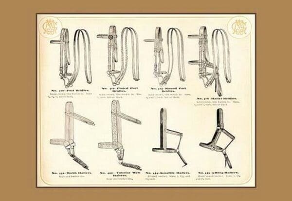 Bridles and Halters - Art Print