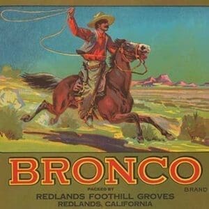 Bronco Brand Crate Label - Art Print