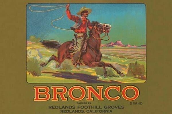 Bronco Brand Crate Label - Art Print