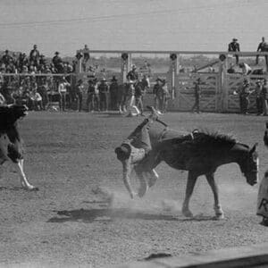 Bucked off a Bronco by Russell Lee - Art Print