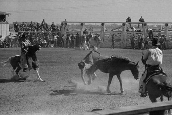 Bucked off a Bronco by Russell Lee - Art Print