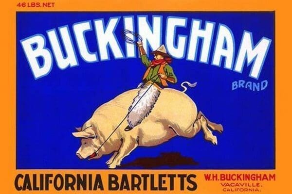 Buckingham California Bartletts - Art Print