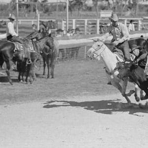 Bulldogging by Arthur Rothstein #2 - Art Print