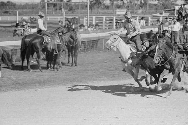 Bulldogging by Arthur Rothstein #2 - Art Print