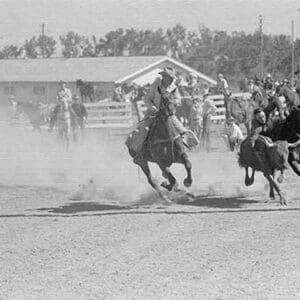 Bulldogging by Arthur Rothstein #3 - Art Print