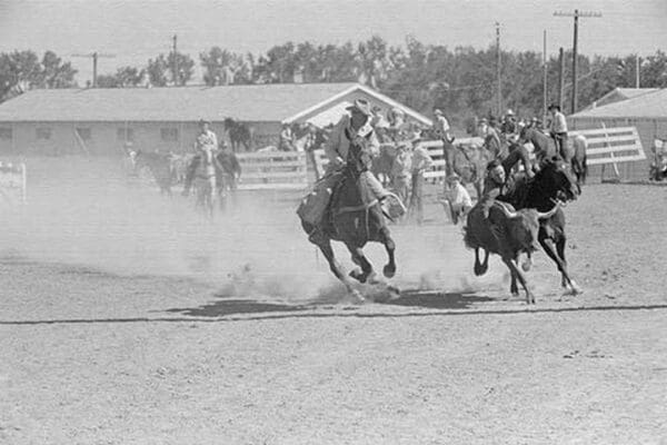 Bulldogging by Arthur Rothstein #3 - Art Print