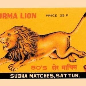 Burma Lion #2 - Art Print